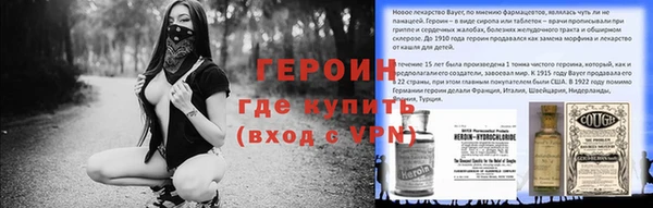 гашик Алексин