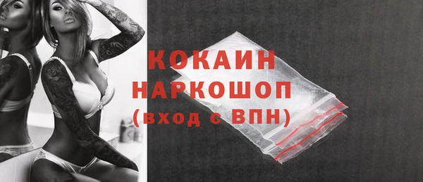 гашик Алексин