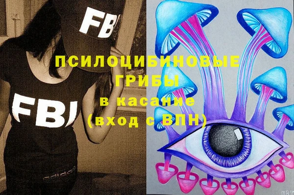 гашик Алексин