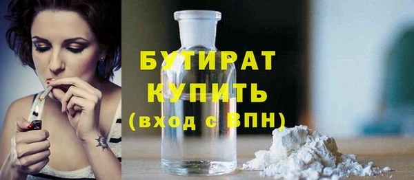 гашик Алексин