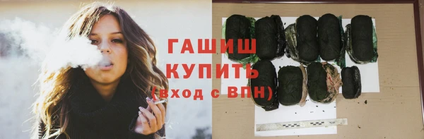 гашик Алексин