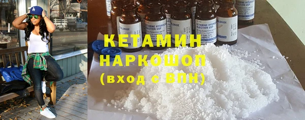 гашик Алексин