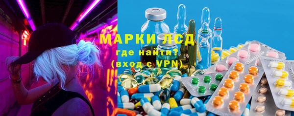 гашик Алексин