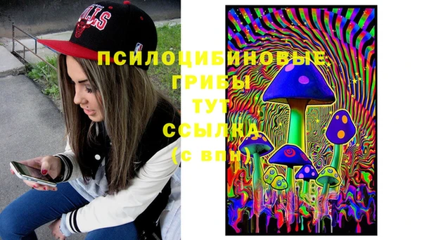 метамфетамин Алексеевка