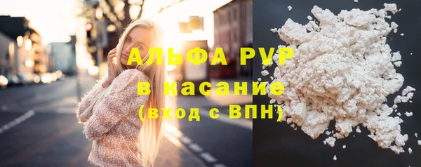 гашик Алексин